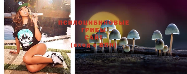 твердый Алзамай