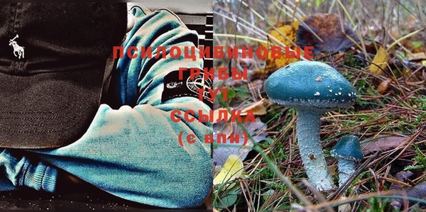 твердый Алзамай