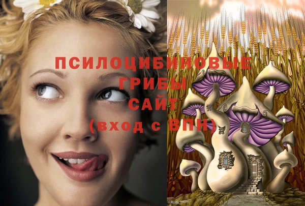 твердый Алзамай